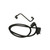 Canister Vent Solenoid | BWDCPV131