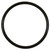 Fuel Pump O-Ring | BWDRGD51