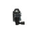 Canister Purge Solenoid | BWDCP661
