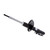 Rear Suspension Strut Assembly | BIL22-113320