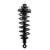 Quick-Strut Rear Suspension Strut and Coil Spring Assembly | MON171125