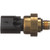 EGR Valve Pressure Feedback Sensor | BWDEGR647