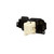 Headlight Switch | BWDHL148