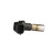 Crankshaft Sensor | BWDCSS641