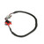 Crankshaft Sensor | BWDCSS60