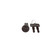 Ignition Lock Cylinder | BWDCS21L
