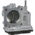 Fuel Injection Throttle Body | BWDS20215