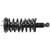 Quick-Strut Front Suspension Strut and Coil Spring Assembly | MON371358