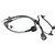 ABS Speed Sensor | BWDABS3333