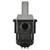 Canister Purge Solenoid | BWDCP827