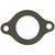 Engine Coolant Outlet Gasket | 5572201