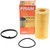 Extra Guard Oil Filter Cartridge | FRMCH9911