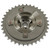Engine Variable Valve Timing Sprocket | BWDVV5028
