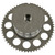 Engine Variable Valve Timing Sprocket | BWDVV5016