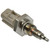 Exhaust Gas Temperature Sensor | BWDEGR455