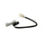 Crankshaft Sensor | BWDCSS812