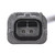 ABS Speed Sensor | BWDABS2541
