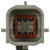 Park Assist Camera | BWDPAN102