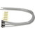 Power Window Switch Connector | BWDPT5967