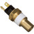Temperature Sender - With Light | BWDWT341