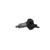Ignition Lock Cylinder | BWDCS803L