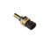 Coolant Temperature Sensor | BWDWT5132