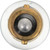 Standard Miniature 1895 - Qty 1 Bulb | PHI1895CP