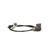 ABS Speed Sensor | BWDABS1511