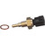 Coolant Temperature Sensor | BWDWT5248