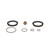 Fuel Filter Housing Seal Kit | BWDFPH1
