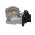 Fuel Injection Throttle Body | BWDS20006