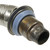 EGR Valve | BWDEGR1904