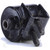 Transmission Mount Rear | 62M8901