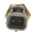 Intake Air Temperature Sensor | BWDWT3085