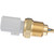Intake Air Temperature Sensor | BWDWT3085
