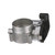 Fuel Injection Throttle Body | BWDS20004