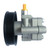 Power Steering Pump W/Pulley | EPS6028P