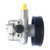 Power Steering Pump W/Pulley | EPS6028P