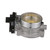 Fuel Injection Throttle Body | BWDS20019