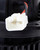 Flanged Vented CCW Blower Motor w/ Wheel | 4SE75125