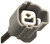 10PA17C Compressor | 4SE78341
