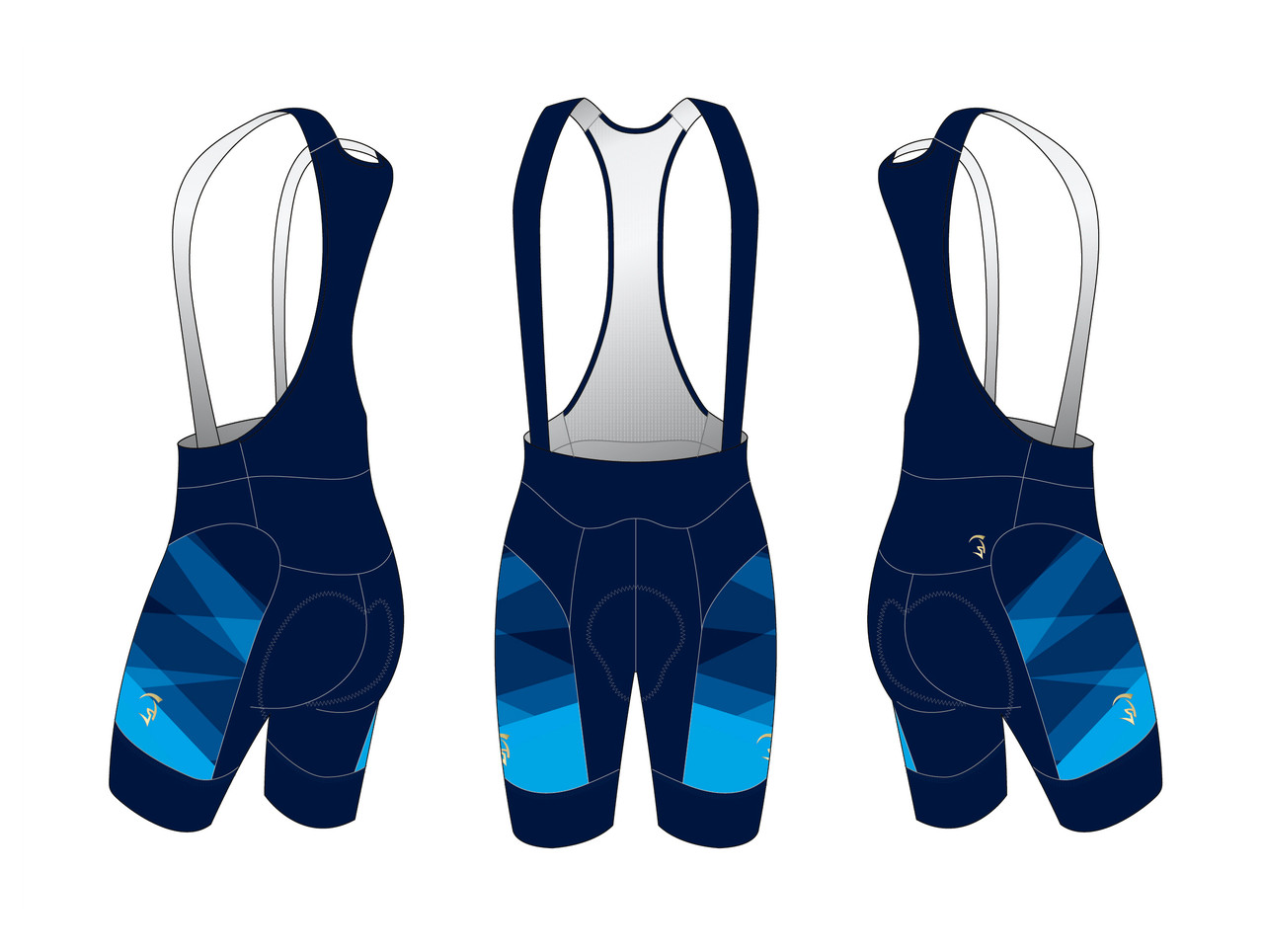 triathlon bib shorts