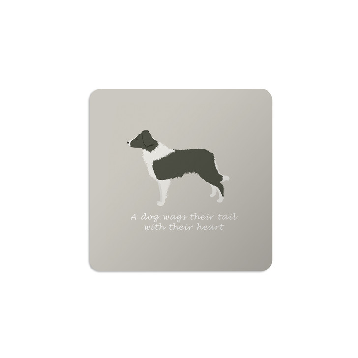 Bailey and Friends Dog Coaster Border Collie Grey