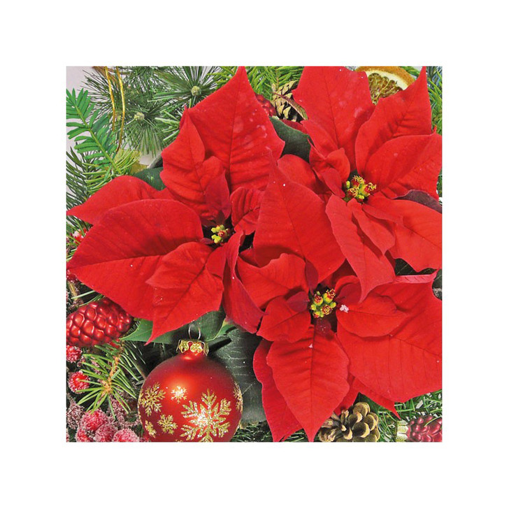 Ambiente 3 Ply Paper Napkins Red Poinsettia