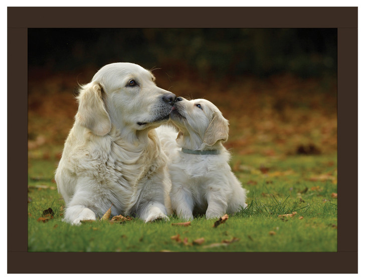 iStyle Golden Retrievers Lap Tray Rural Roots