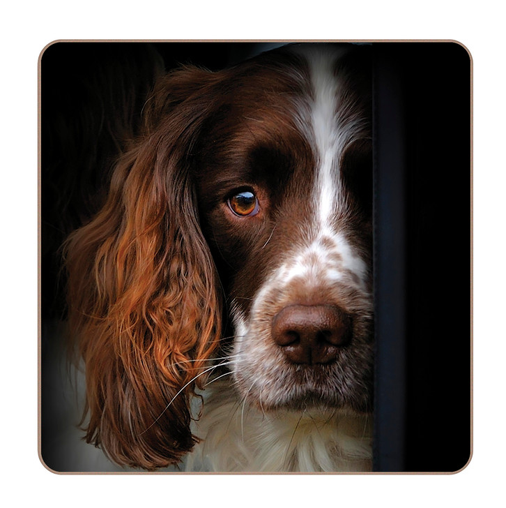 iStyle Springer Spaniel Coasters Rural Roots Set 4