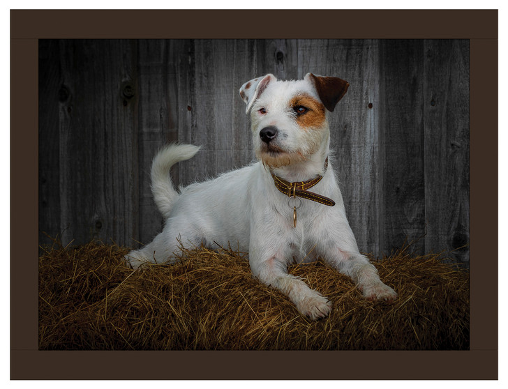 iStyle Jack Russell Lap Tray Rural Roots