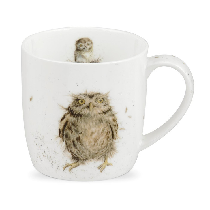 Royal Worcester Wrendale What a Hoot Owl Single Mug