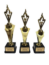 Cheap Custom Trophies  Free Shipping over $105 and always Free engraving on  every purchase.