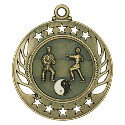 Gold Martial Arts Galaxy Medals Gold Martial Arts Galaxy Medals